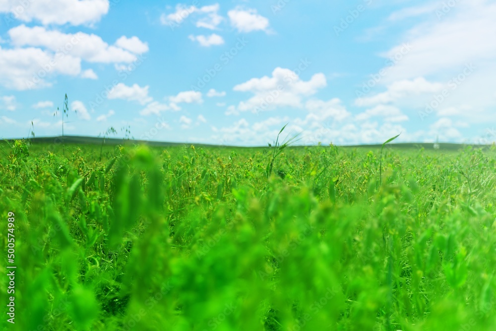 Beautiful hilly landscape in the foreground with blue sky