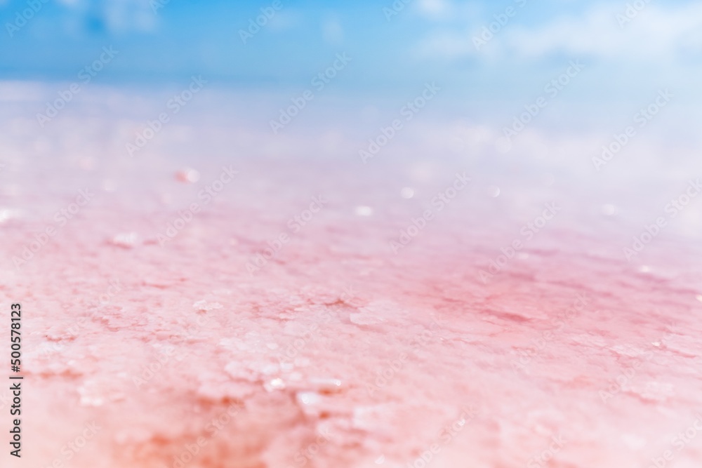 Beautiful red lagoon or salt lake with pink waters rich in minerals