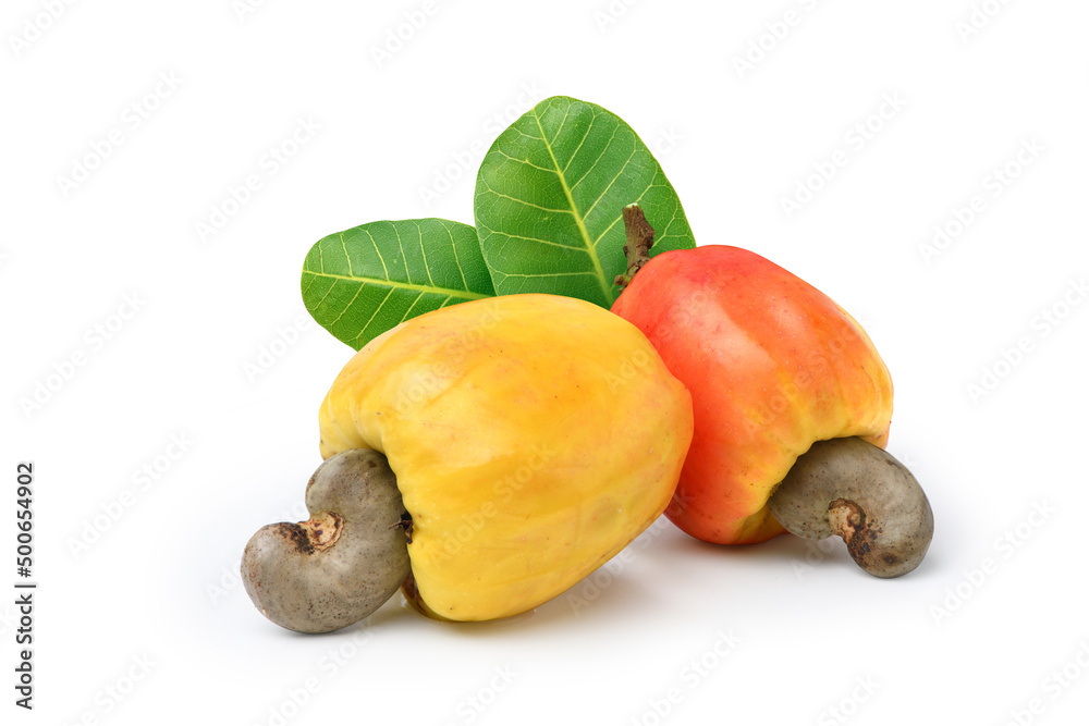 Yellow and red Cashew fruits with leaves isolated on white background.