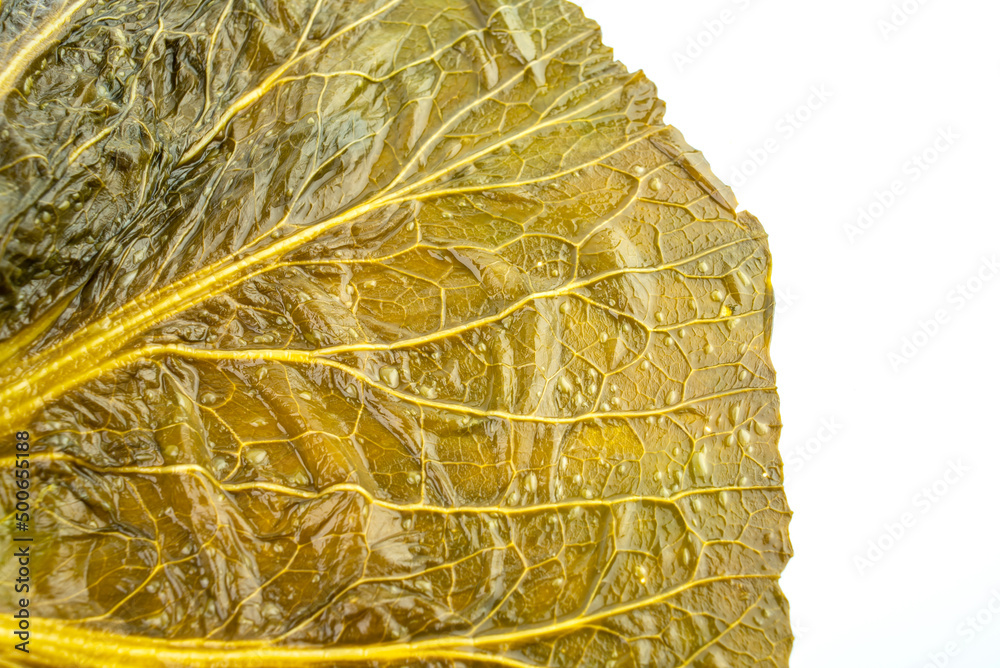 Close-up of golden sauerkraut leaves