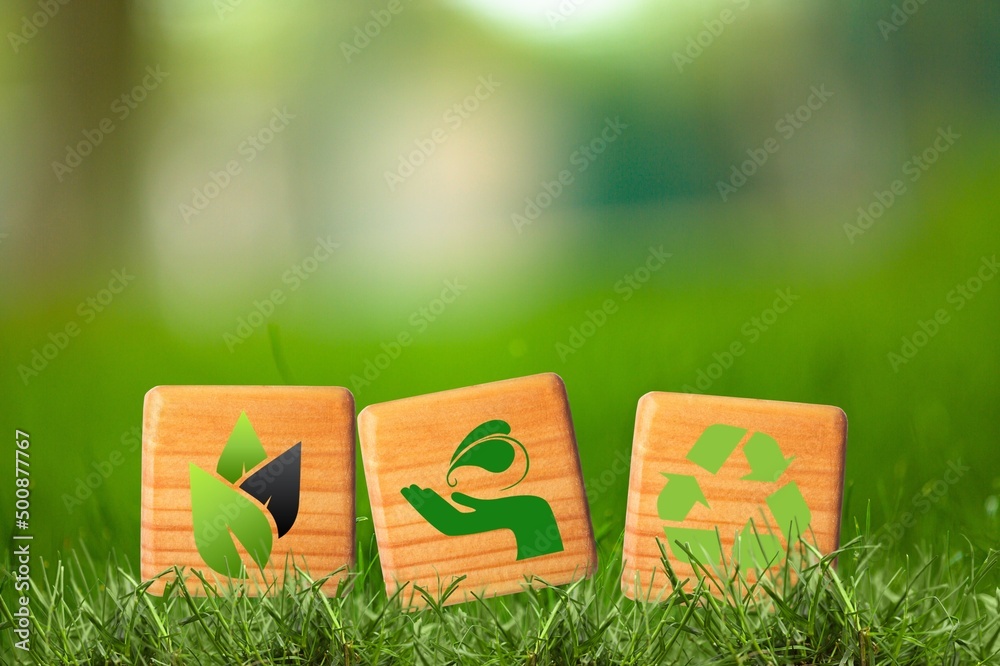 Three wooden cubes on green grass