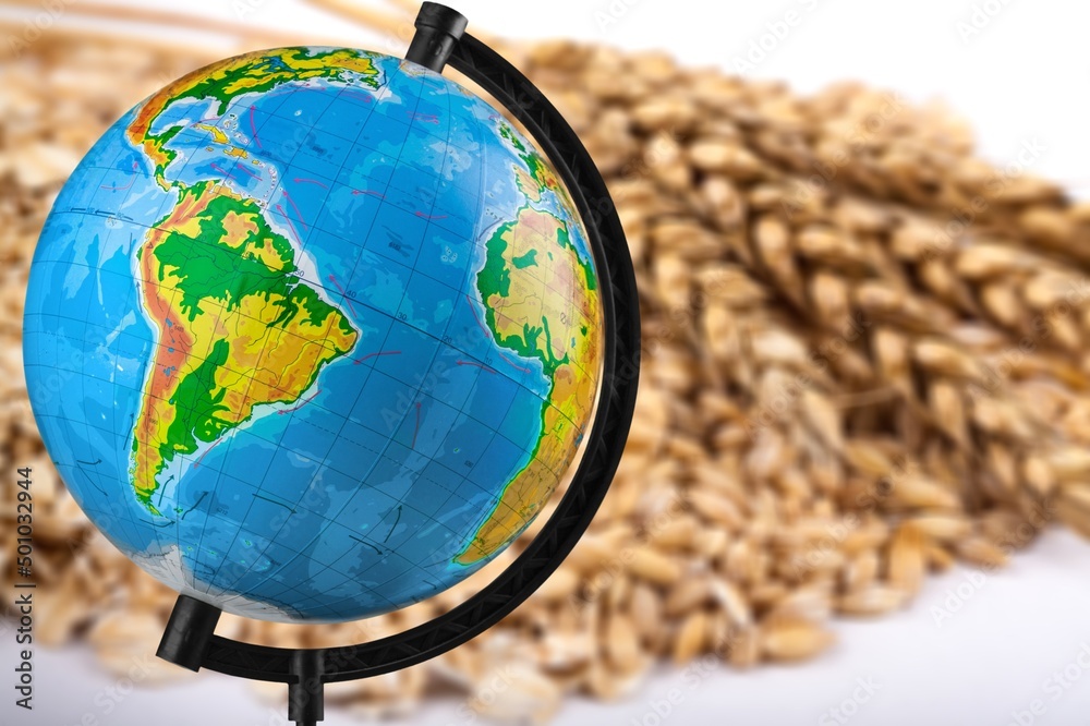 Wheat grains with globe. The concept of harvest, export, import, in countries. Bread shortage.