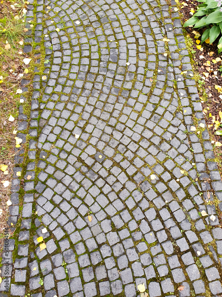 Small outdoor tiles. Pavement of granite and moss. Garden. Top view.