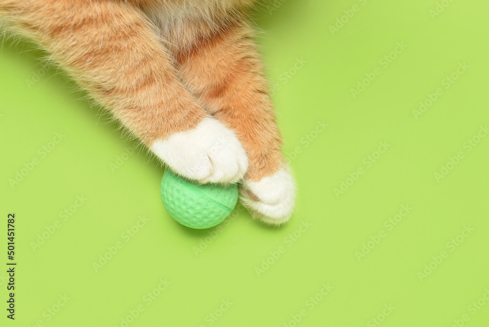 Paws of cute cat with toy on green background, closeup