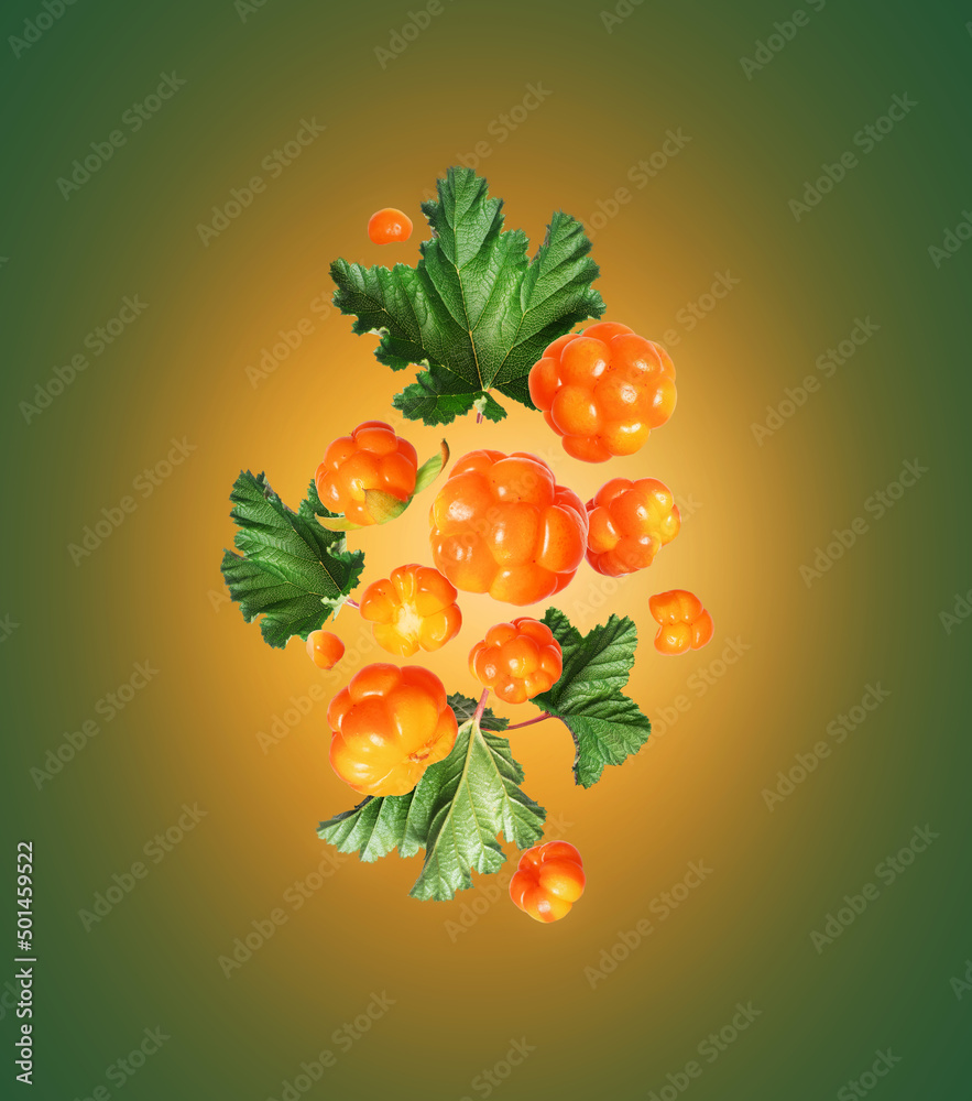 Ripe cloudberries with leaves in the air close up on a green background