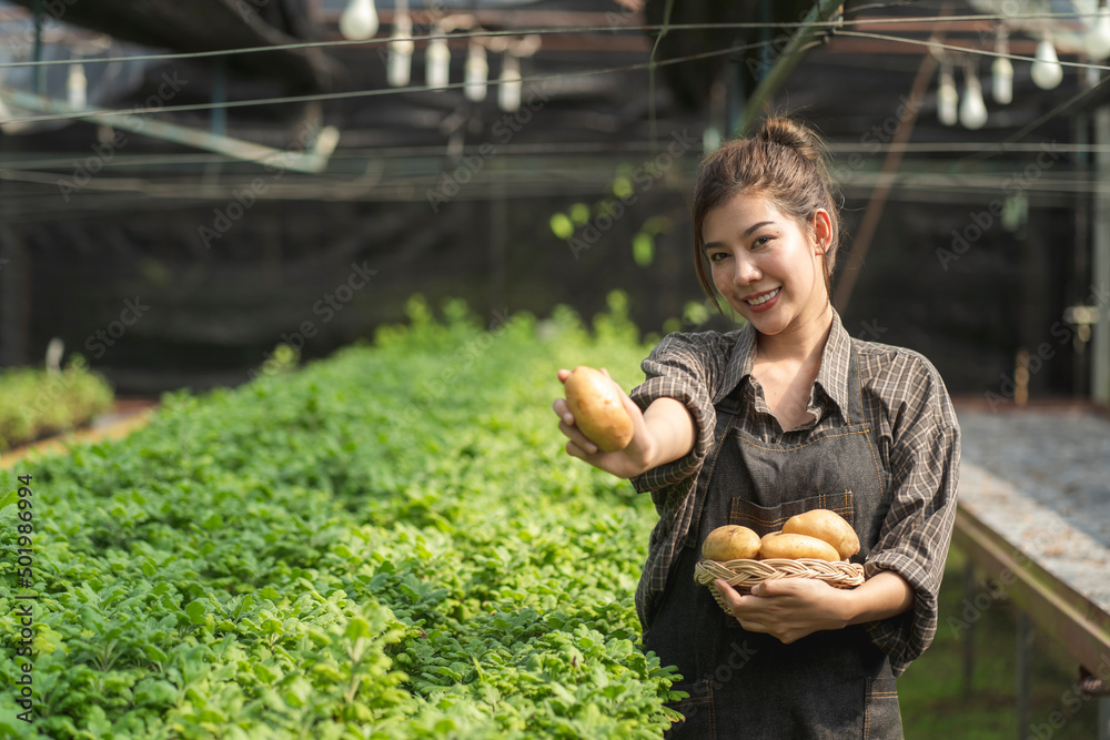 一位年轻的农妇拿着装满新鲜有机蔬菜的木制篮子。