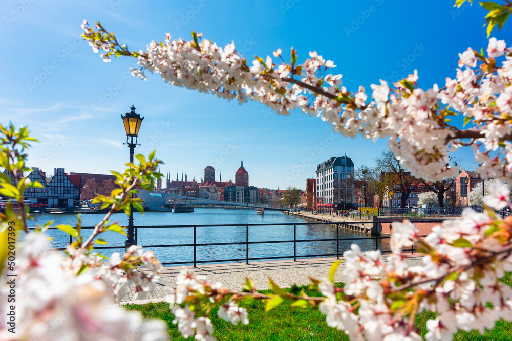 Spring over the Motława River in Gdansk. Poland