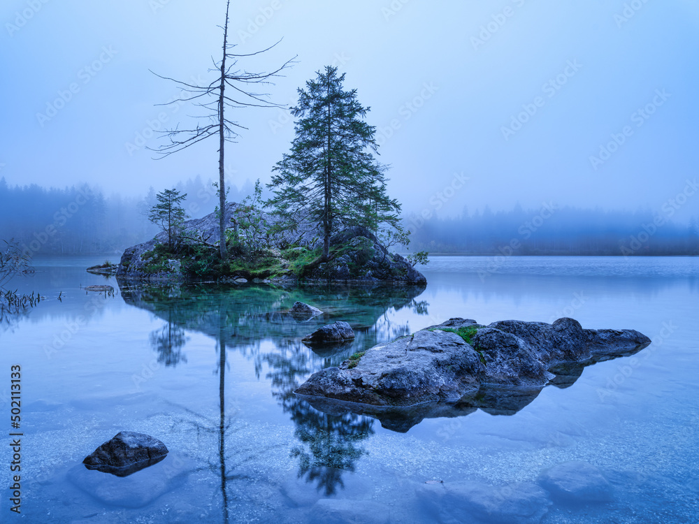 德国欣特西湖。雾中的景观。湖泊和树木。水面上的倒影。高