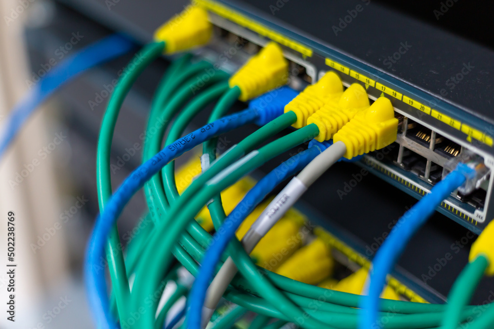 network cables connected in network switches hub