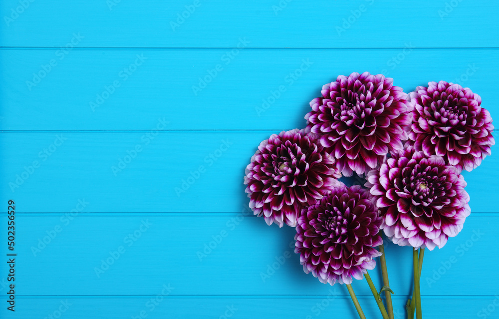  Flowers on blue painted wooden planks.