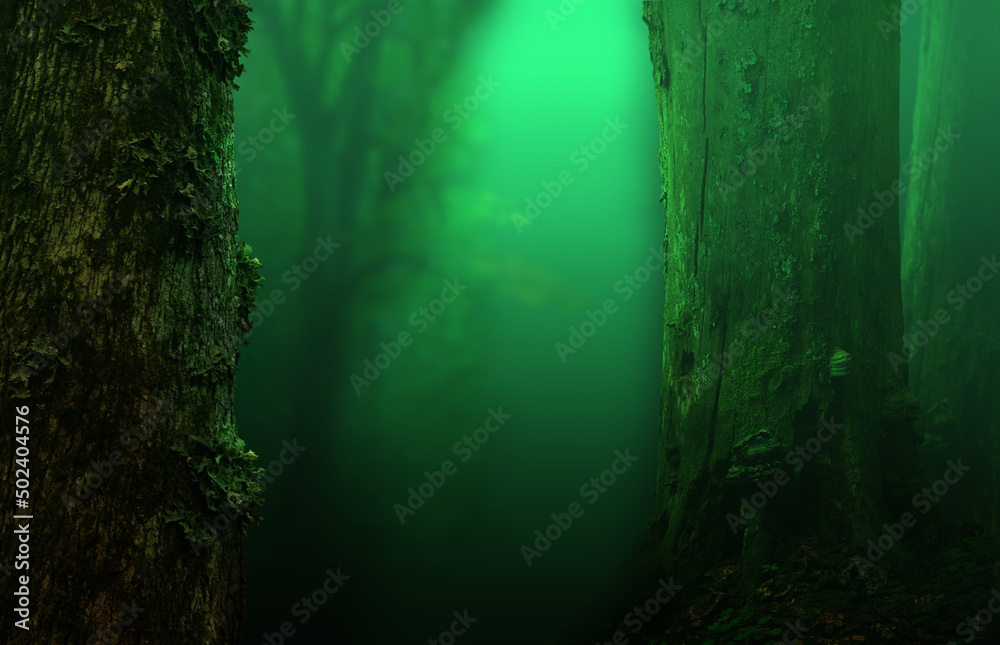 Atmospheric forest landscape with mysterious light in the dark. Transparent green background with un