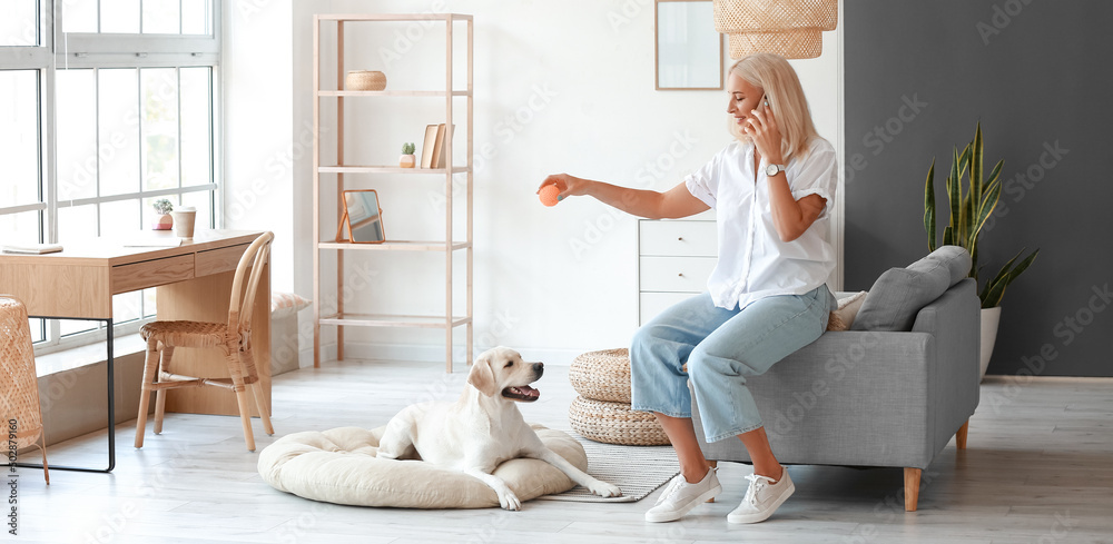 成熟女人在家和可爱的拉布拉多犬玩耍时打电话