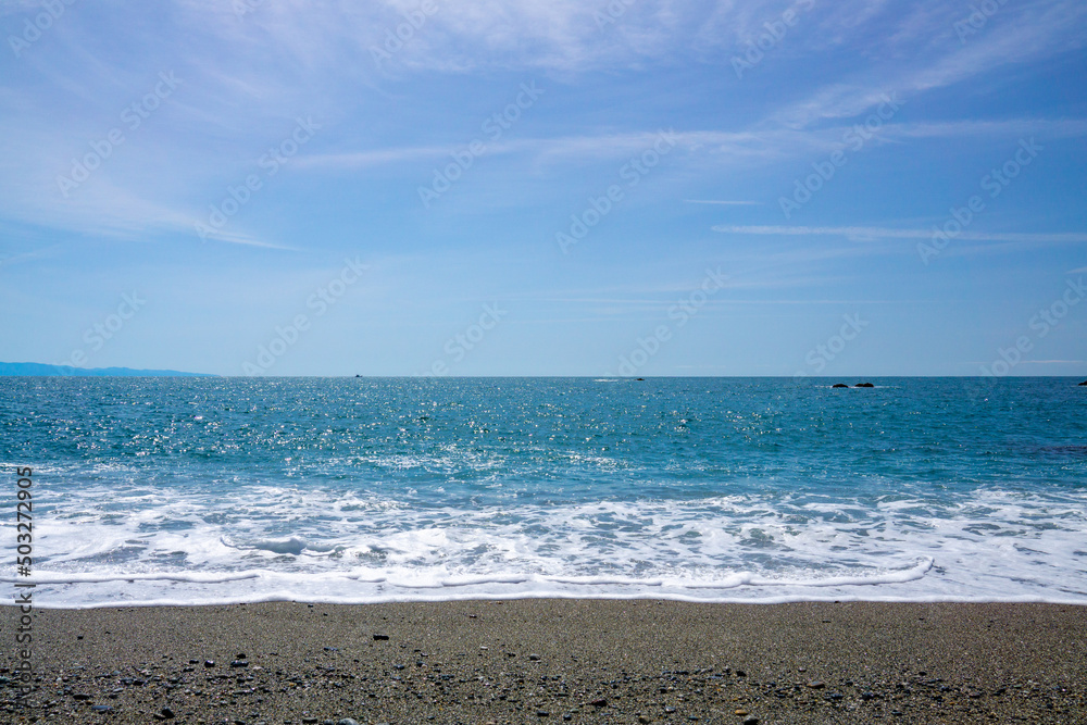 桂浜の海岸