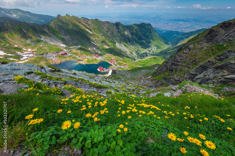 Lake Balea view with yellow dandelions, Fagaras mountains, Carpathians, Romania