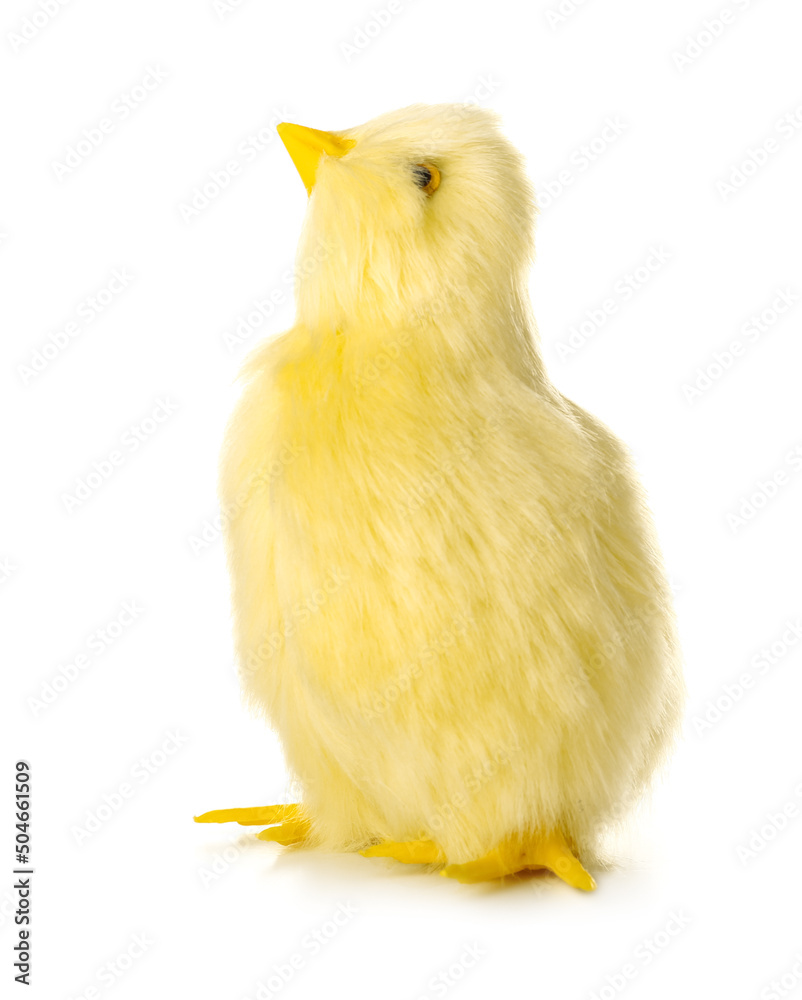 Cute yellow chicken isolated on white