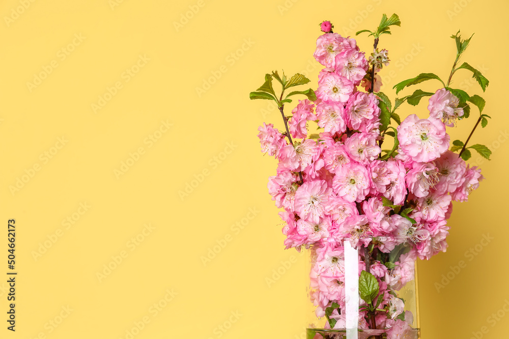 Glass vase with blooming branches near yellow wall, closeup