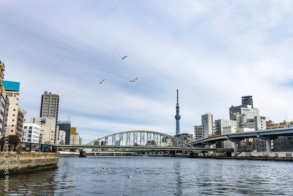 東京の川を航行する船から見る風景