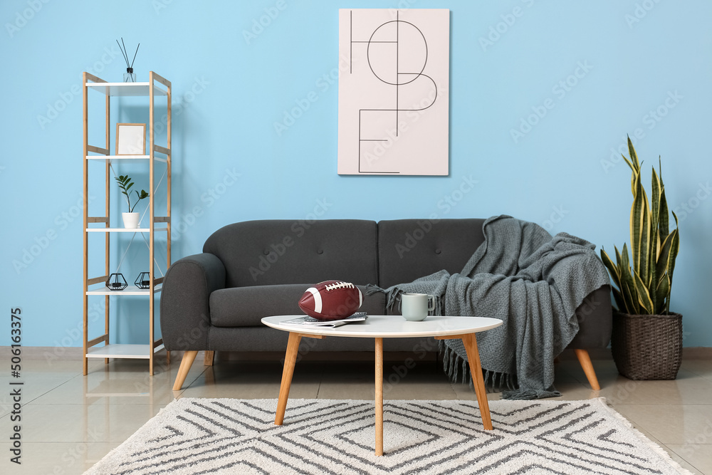 Interior of living room with comfortable sofa and rugby ball on table