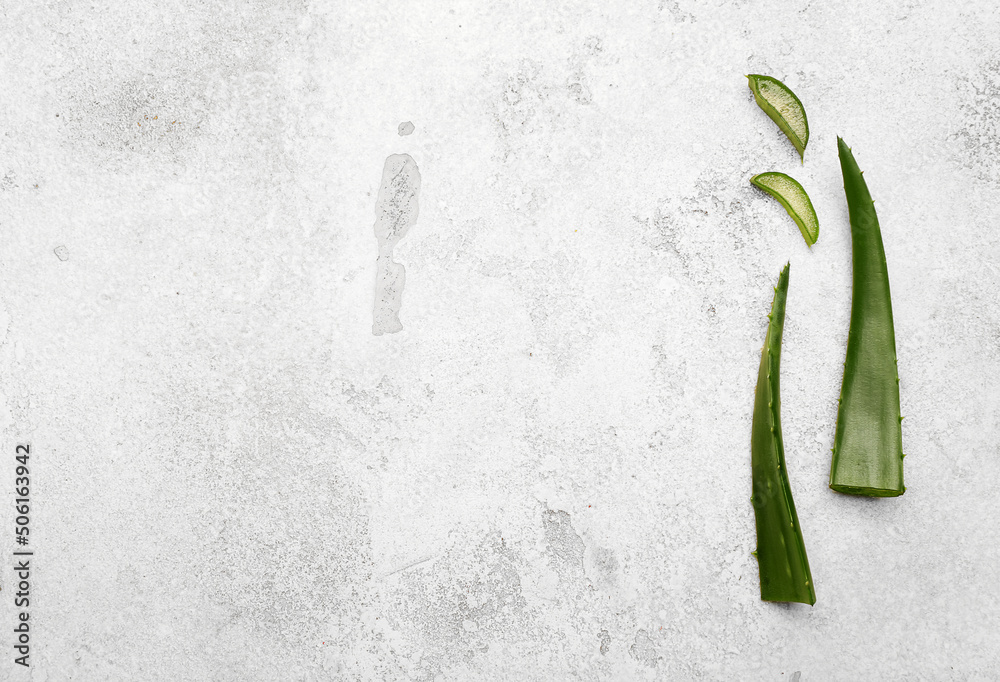 Aloe vera fresh leaves on light background