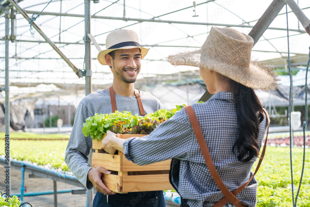 Asian farmers couple work in vegetables hydroponic farm with happiness	