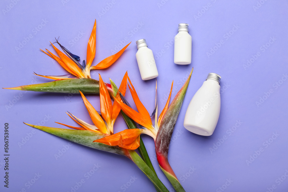 Bottles of cosmetic products and beautiful strelitzia flowers on lilac background