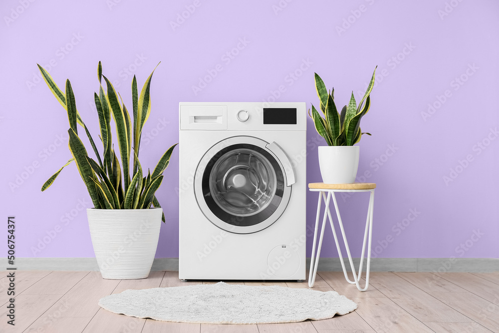 Washing machine and houseplants near violet wall in laundry room