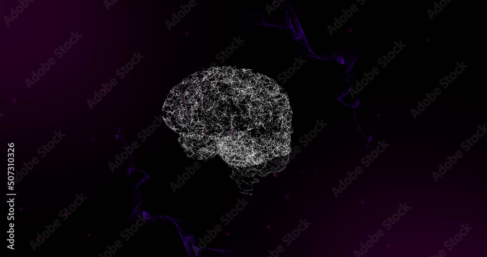 3d人脑在黑色背景下移动的紫色网络上旋转的图像