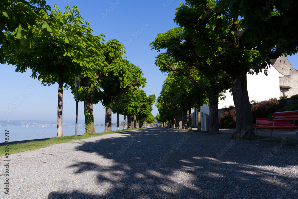 Waterfront with boardwalk and tree alley at border of Lake Zürich at City of Rapperswil-Jona on a su