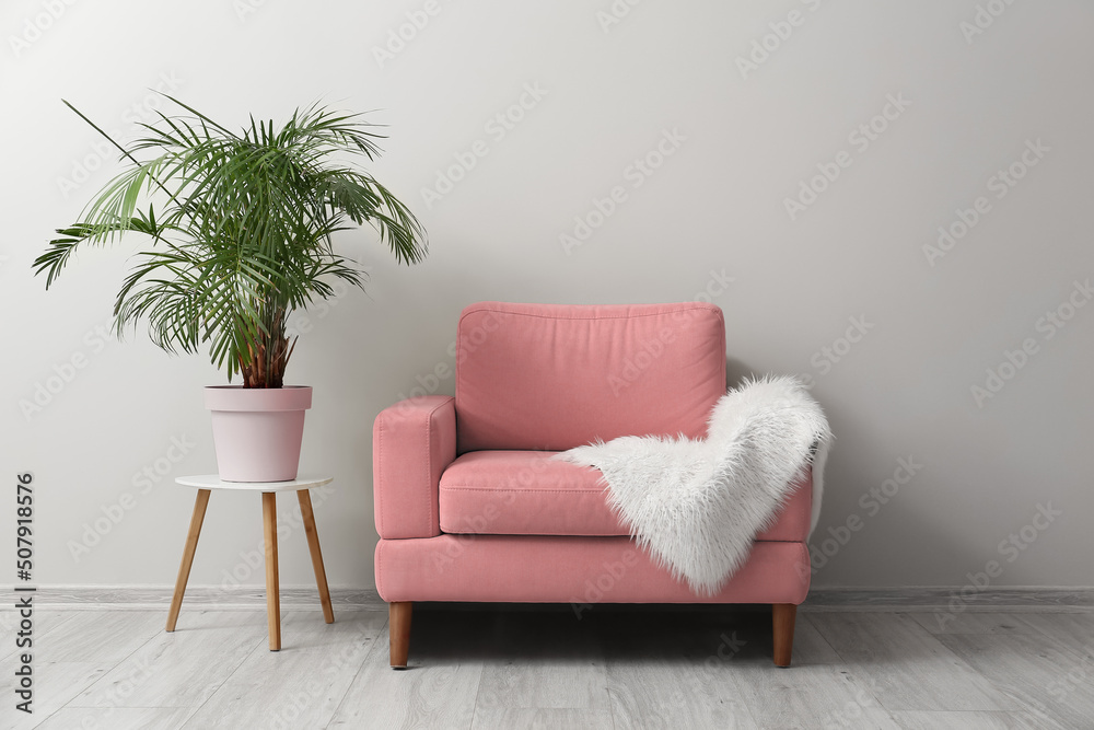 Pink armchair with fluffy plaid and houseplant near light wall