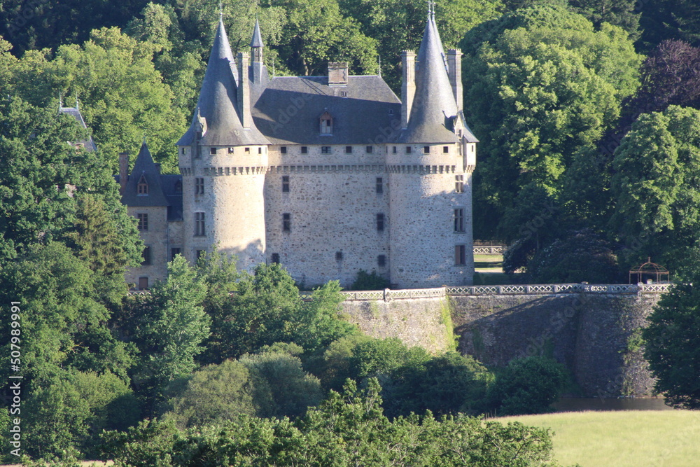 Biches sauvages dans un pré, château, ruisseau, Perroquet dans un arbre