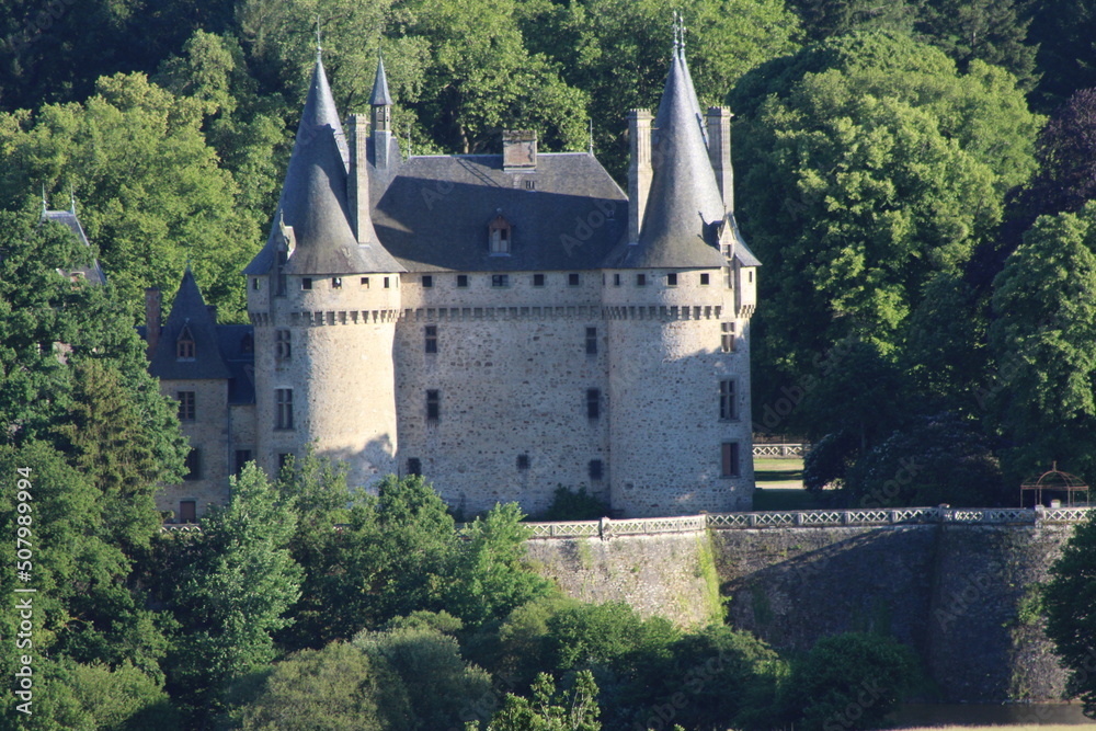 Biches sauvages dans un pré, château, ruisseau, Perroquet dans un arbre