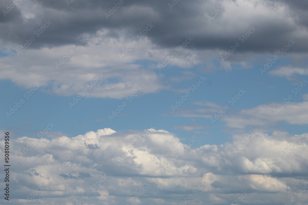 Nature à la campagne, animaux, ciel verdure