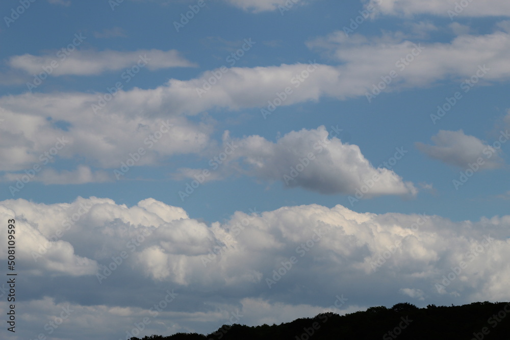 Nature à la campagne, animaux, ciel verdure