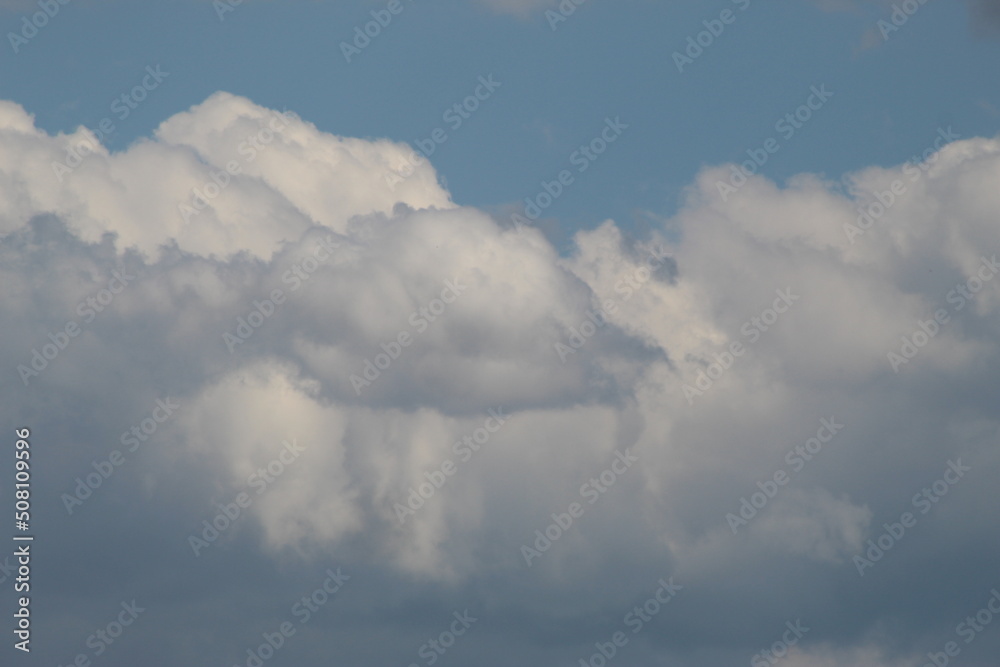 Nature à la campagne, animaux, ciel verdure