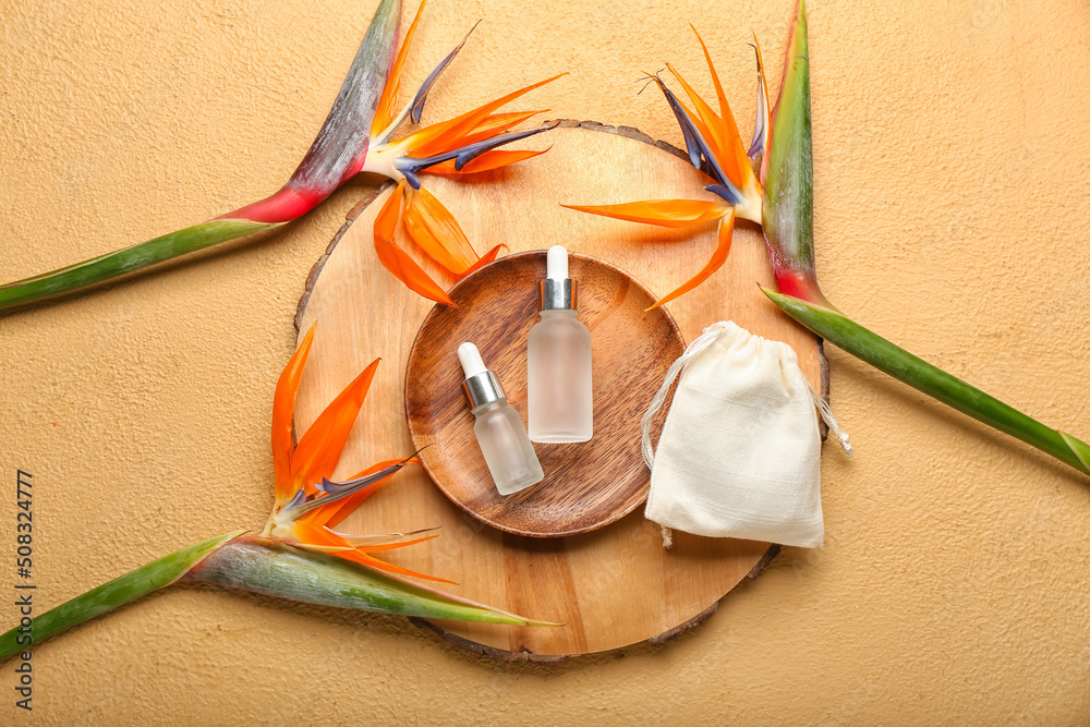 Composition with bottles of essential oil and beautiful strelitzia flowers on color background