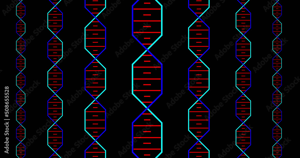 彩色dna在黑色背景上旋转的图像