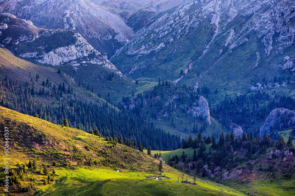 In summer on the Qinghai-Tibet Plateau, there are rolling mountains and green trees and grass.