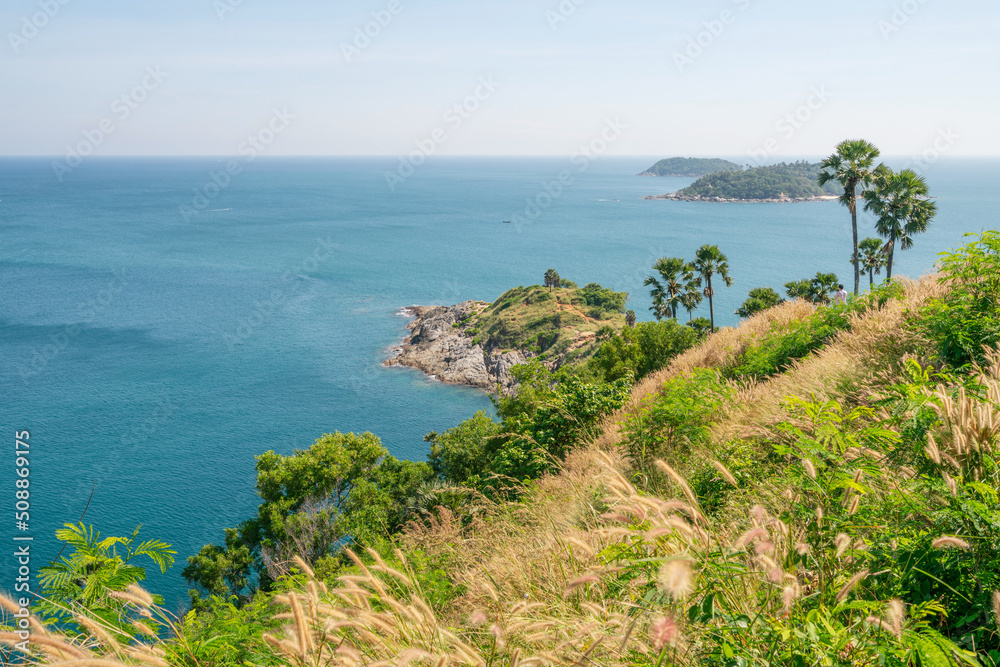 普吉岛椰子树和草地在前景中美丽的风景安达曼海在夏天