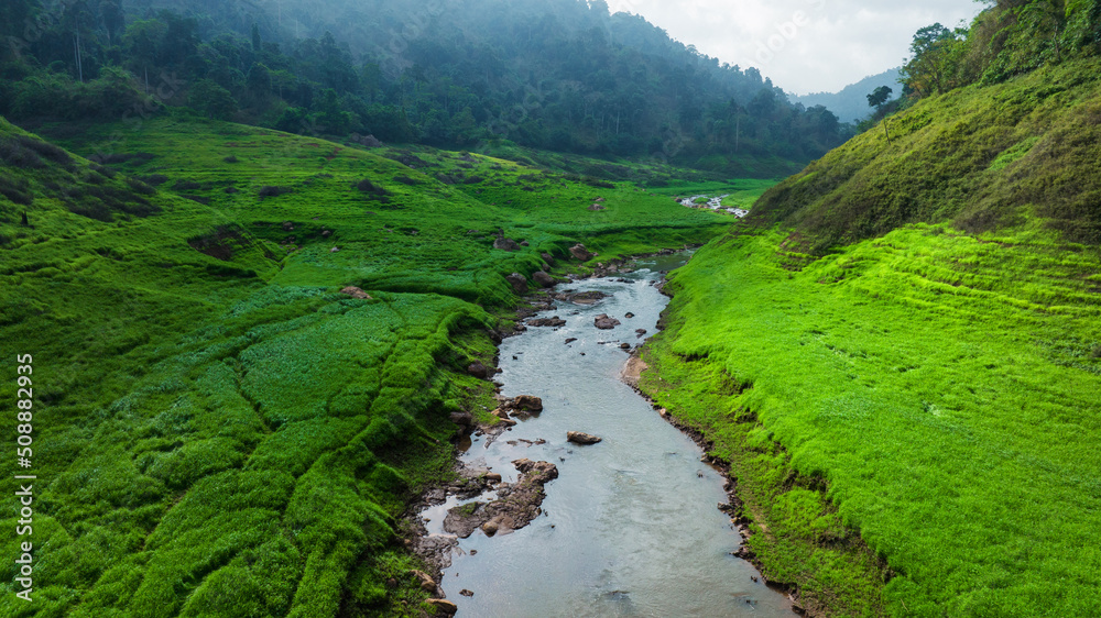 Aerial view of beautiful natural water stream  and green field of grass in the wild forest mountain 