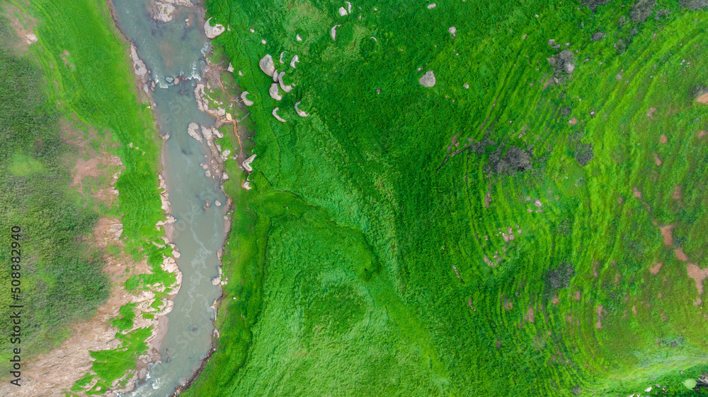 Aerial view of beautiful natural water stream  and green field of grass in the wild forest mountain 