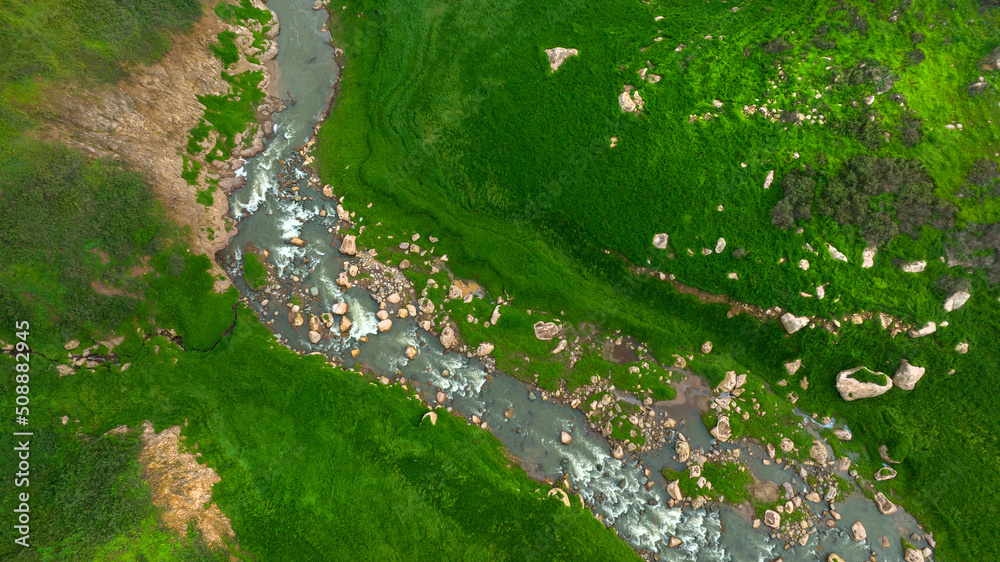 Aerial view of beautiful natural water stream  and green field of grass in the wild forest mountain 