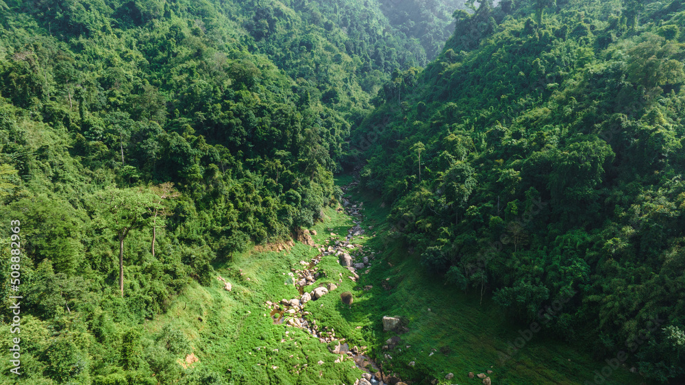 自然清洁空气，野生森林山上美丽的天然绿地鸟瞰图