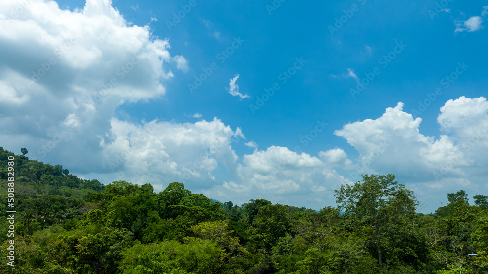 Aerial view of beautiful natural green field of forest in the wild forest mountain ,Clean Air natura