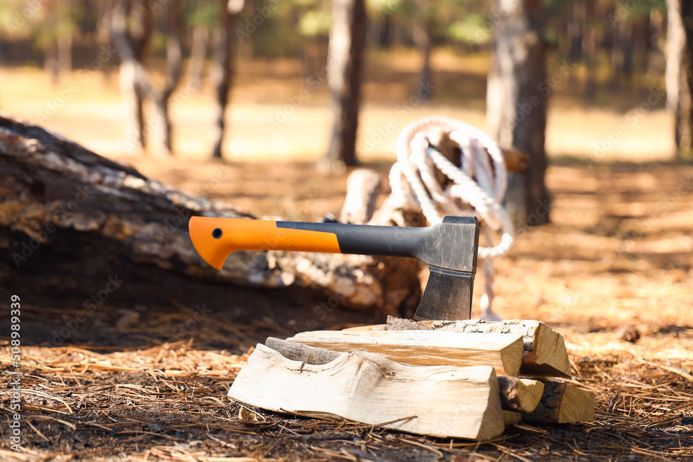 Tourists axe with firewood in forest