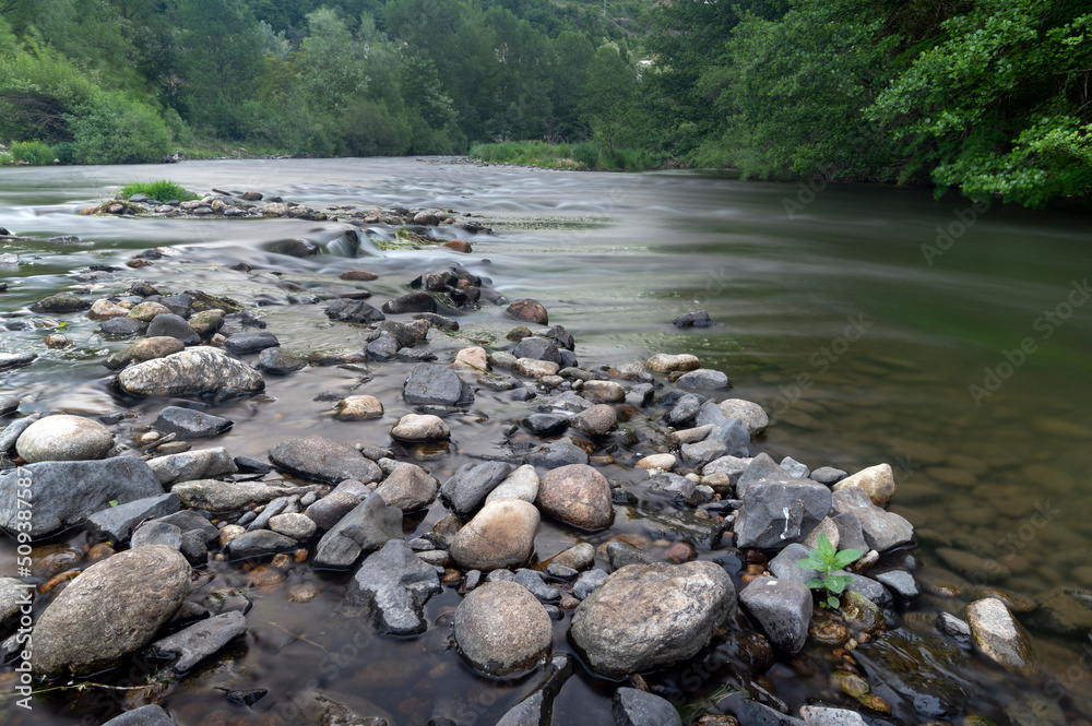 La rivière sauvage de lAllier dans le département de la Haute-Loire en France au printemps