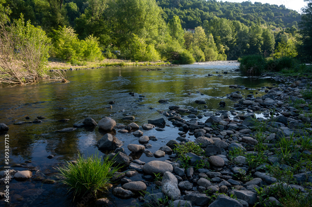 La rivière sauvage de lAllier dans le département de la Haute-Loire en France au printemps