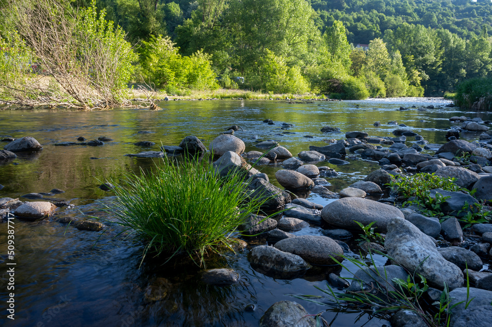 La rivière sauvage de lAllier dans le département de la Haute-Loire en France au printemps