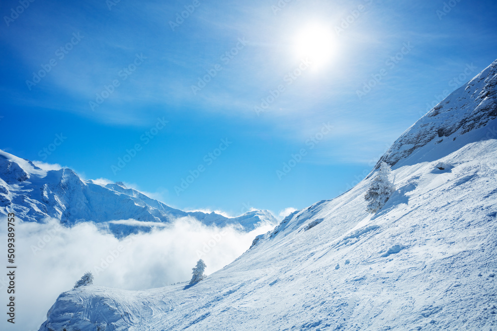 Mountains with clouds below, sun and snow covered bushes