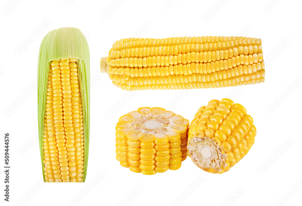 Corn isolated on white background.