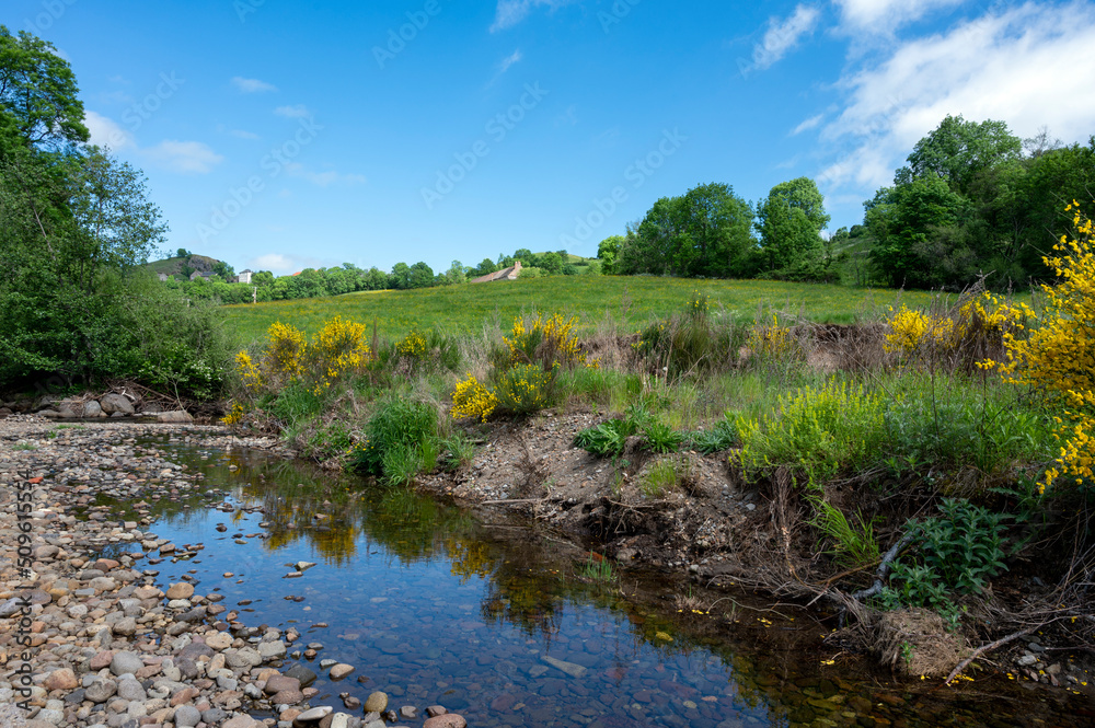 Paysage dAuvergne au printemps dans le département du Cantal près de Murat en France